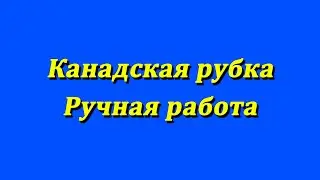Сруб из кедра. Канадская рубка. Ручная работа.