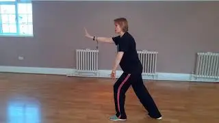 Tai Chi Set - From Stork Cools Wings to Left Brush Knee (Moves 6 to 13 of the set)