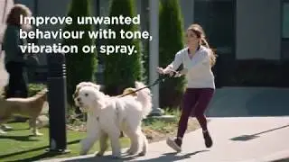 Introducing the PetSafe&reg; Remote Spray Trainer