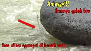 Nutul Melem Terbaru Di Spot Mancing Yang Jarang Dikunjungi