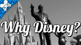 Why Disney? | Disney Q&A (#100!)