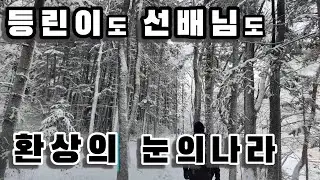 [4k] 등린이도 선배님도 모두 만족할 환상의 눈의나라 눈꽃산행길 1월의 평창 오대산 선재길 로 겨울설산여행 오세요