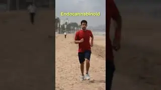 3 MENTAL benefits of RUNNING | Melt Your Cheese Shorts