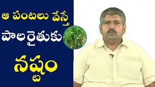 Farmers different version on CM decision over new agriculture policy in Telangana | Swaraj TV