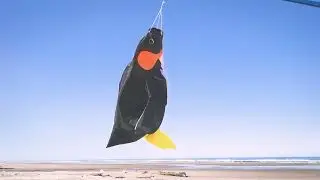 Penguin Big Breeze Windsock | KiteGarden.com