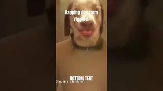 rapping dog from viggle ai idk #shorts #ai #airapper #aidog #meme