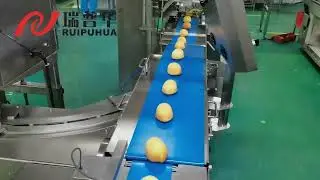 Bun / bread / cake full automatic packing machine, China packaging line,flow wrapping machine