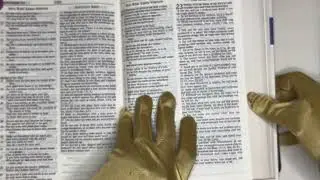 Your DAILY BREAD, THE BIBLE: 11/22/25 Psalm 0, Proverbs 22, Acts 7:1-34 Romans 12 1-13:14. Psalm 62