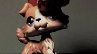 Lps Mashup Video: I Can't Find My Sunglasses (Happy New Year!)
