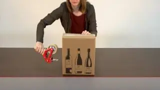 Flaschenversandkarton mit Automatikeinlage von karton-billiger.de