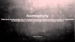 What does homophyly mean