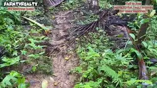 VLOG #106 FARMLOT SA ATIMONAN QUEZON NA 2.1has (see description below)