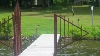 Frank, my dock buddy