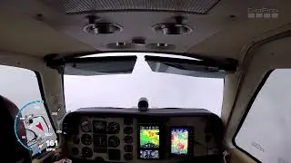 Flying between cells, too close for comfort | re-upload