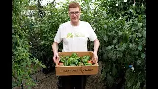Quadgrow final harvest and end of season storage! 🌱🔧 🔩