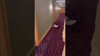 She Didn't Notice the Hotel Hallway Was Looping #Shorts