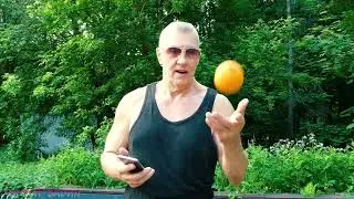 КАК  СНИМАЛИ  ЖОНГЛЕР