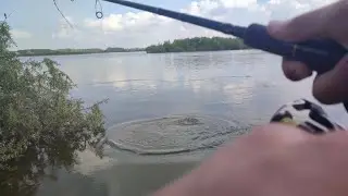 TESTIRANJE GRBAVE, 10 zabačaja, koja ulovi ide u prodaju 😂💪