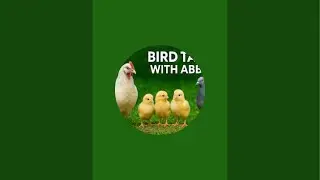 Bird Tales With Abbas is live #viral #meme #trending #birds #turkey #livenow #live
