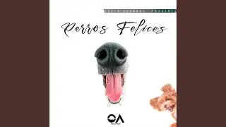 Amor de perro