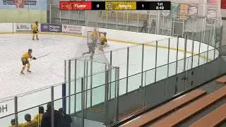 U15AA Flamborough Sabres vs West Niagara Flying Aces