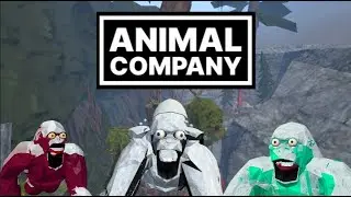 The great money reset (Official trailer)