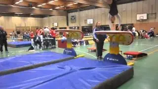 TV 1877 Mannheim - Waldhof Turnen Bezirksentscheid