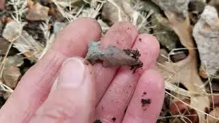 Ozark Seekers Arrowhead hunting Stone tools and Lithics Amazing bird point