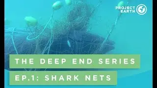 The Deep End Series Episode 1: Shark Nets