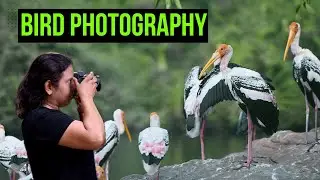 Photographing Birds at Ranganathittu