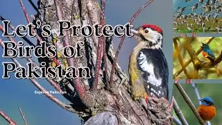 Let's play our part in protection of 
