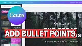 How to Add Bullet Points in Canva 2024?