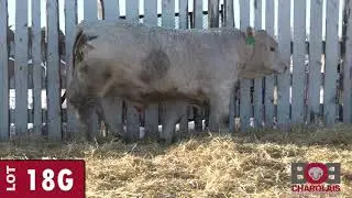 18G - Bob Char 2020.mp4