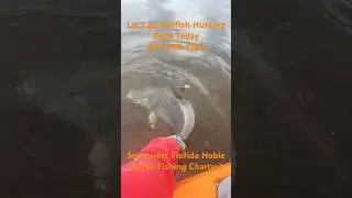 Redfish Release & Ding Darling Refuge #hobie #hobiekayaks #fishing #fish #kayakangler #swfl