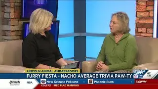 Furry Fiesta - Nacho Average Trivia Paw-Ty