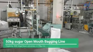 50KG Sugar Auto Bagging and Palletizing line
