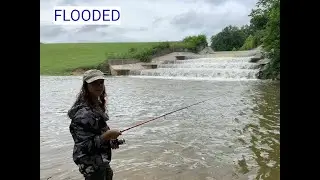 Flooded yellowwood state forest