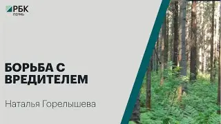Борьба с вредителем |  Наталья Горелышева