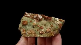 GRANAT - GROSSULAR & DIOPSYD - Norwegia, Nordland, Vefsn, Toven /Minerały & skamieniałości/