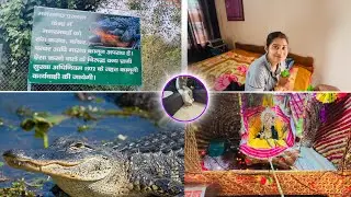 पहली बार इतना बड़ा मगरमच्छ देखा 🐊