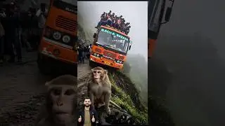 ❤️ Evolution of bus:bus on man on masti 🥰 #bus #spiderman #avengers #shorts #cartoon #monkey #cat