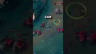 HOW TO ROAM Like a CHALLENGER Support
