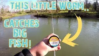 TROUT FISHING With Berkley HONEY WORMS! | Small With a BIG ATTITUDE!