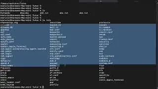 Shell Scripting Basics