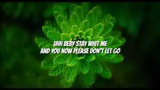 Ada Sa - Shine of black (KARAOKE)