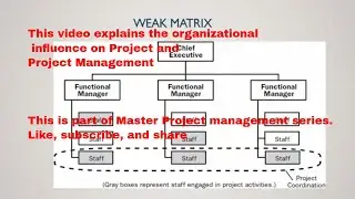 (PMP)&reg; What is Weak Matrix Organization  | Urdu