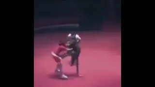 ШОК!!! В сеть слили старый бой Нейта Диаза#ufc#209#bjj #mma