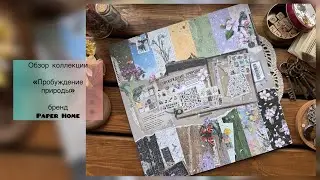 18 июня 2025 г.