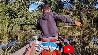 Curimatã Bruta na Mira! 😱 Pescaria com Arco e Flecha na Amazônia