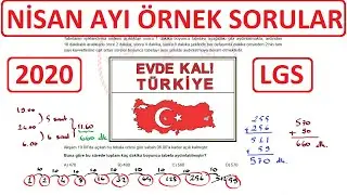 Nisan Ayı Örnek Sorular 2020 LGS